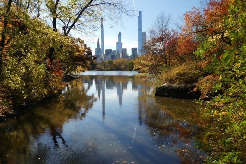 Blick auf die New Yorker Skyline aus dem Central Park heraus