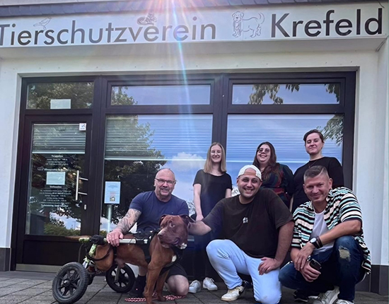 Der Tierschutzverein Krefeld freute sich über Unterstützung von Mitarbeitenden des Kredit- und Händlerservice aus Duisburg.