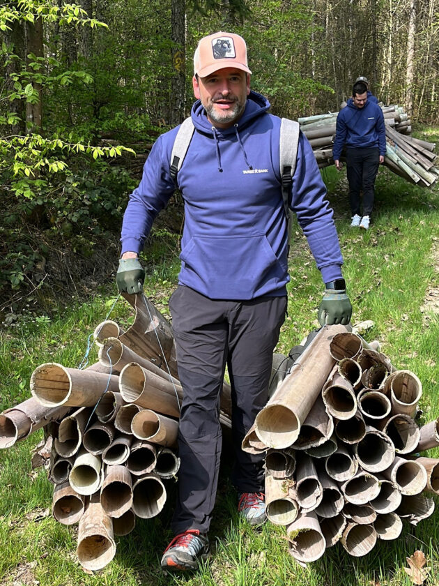 Ein Mitarbeiter der TARGOBANK schleppt Baumstammschutz Rohre.