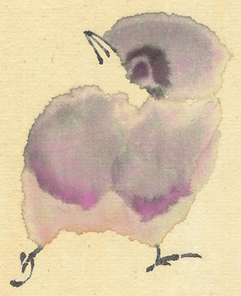 Sumi das Küken