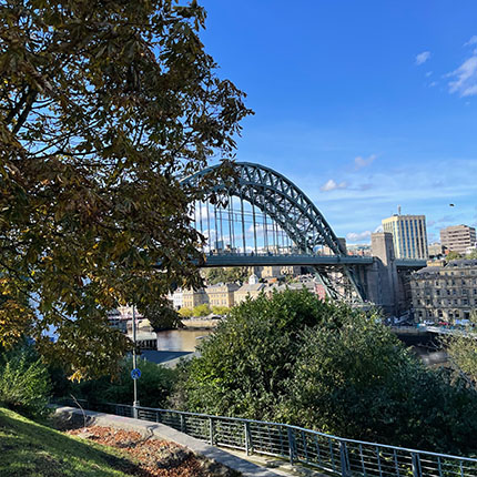 Eine Ansicht der Tyne-Brücke, die über den Fluss Tyne in Newcastle führt. Im Vordergrund sind grüne Bäume und Sträucher, während im Hintergrund moderne Gebäude und ein klarer blauer Himmel sichtbar sind.