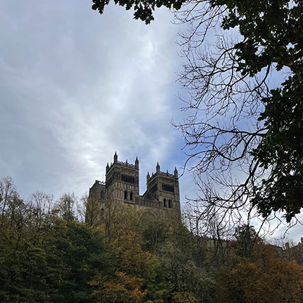 Ein imposantes, historisches Gebäude thront über einem bewaldeten Hang. Der Himmel ist bewölkt, und die Bäume im Vordergrund sind kahl und zeigen herbstliche Farben. Die Architektur des Gebäudes ist bemerkenswert mit hohen Türmen und detaillierten Elementen.