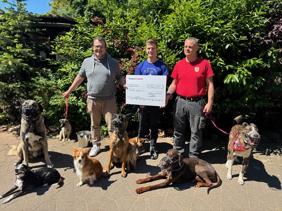 Drei Männer stehen in einem Garten, umgeben von mehreren Hunden. Zwei Männer halten einen großen Scheck. Der Mann links trägt ein graues T-Shirt, der in der Mitte ein blaues und der rechts ein rotes. Verschiedene Hunderassen sind sichtbar, darunter ein kleiner Chihuahua und ein Boxer. Die Umgebung ist grün mit Bäumen und Sträuchern.