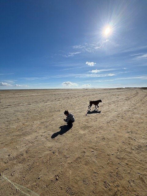 Ein Kind in gestreiftem Shirt sitzt auf einem Sandstrand, während ein Hund vorbeiläuft. Der Himmel ist blau mit wenigen Wolken und die Sonne scheint hell.