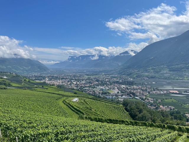 Ein Panoramablick auf eine Stadt im Tal, umgeben von Weinbergen und hohen Bergen. Der Himmel ist blau mit einigen Wolken.
