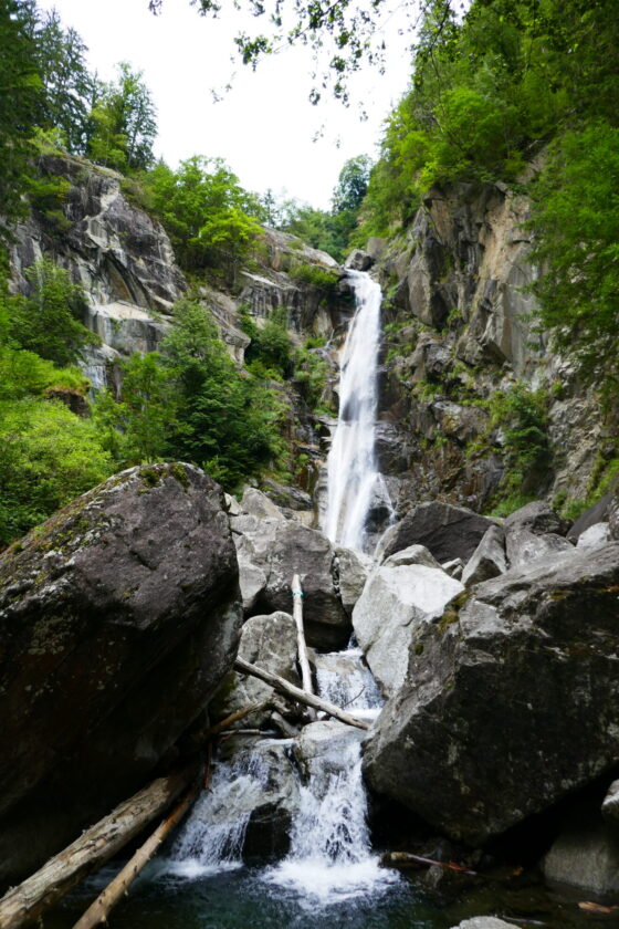 Ein Wasserfall fließt über große Felsen in einem bewaldeten Tal. Grüne Bäume umgeben die Felsen, und im Vordergrund sind große Steine und einige Holzstämme zu sehen.