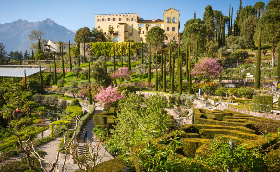 Ein schöner Garten mit verschiedenen Pflanzen, Bäumen und Blumen. Im Hintergrund ein großes, gelbes Gebäude mit Fenstern und Türmchen. Es gibt hohe Zypressen und blühende Kirschbäume. Ein schmaler Weg führt durch den Garten, wo eine Person zu sehen ist. Die Umgebung ist grün und hügelig, mit Bergen in der Ferne. Der Himmel ist klar und blau.