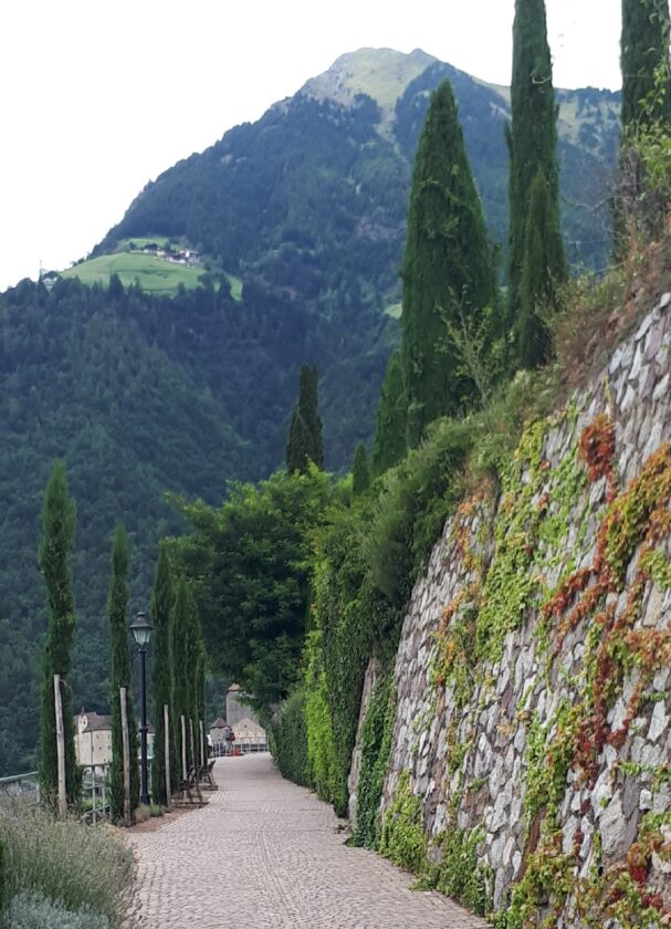 Ein gepflasterter Weg windet sich entlang einer Steinformation, die mit Efeu bewachsen ist. Hohe Zypressen stehen auf beiden Seiten des Weges, der von einer Mauer gesäumt wird. Im Hintergrund sind grüne Hügel und Berge sichtbar, mit einigen kleinen Gebäuden in der Ferne. Eine Straßenlaterne steht entlang des Weges, und es gibt Bänke, die zum Verweilen einladen.