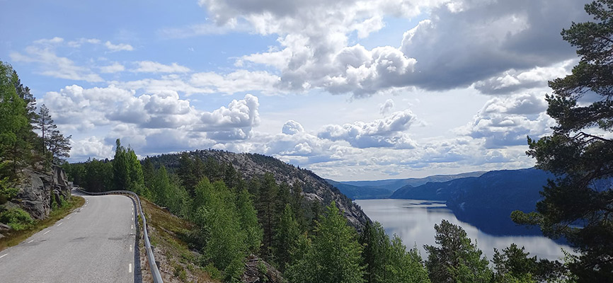 Eine kurvenreiche Straße führt entlang eines malerischen Fjords, umgeben von grünen Bäumen und sanften Hügeln. Der Himmel ist mit weißen Wolken bedeckt, während das Wasser des Fjords ruhig und spiegelnd erscheint. Die Landschaft strahlt eine friedliche Schönheit aus.