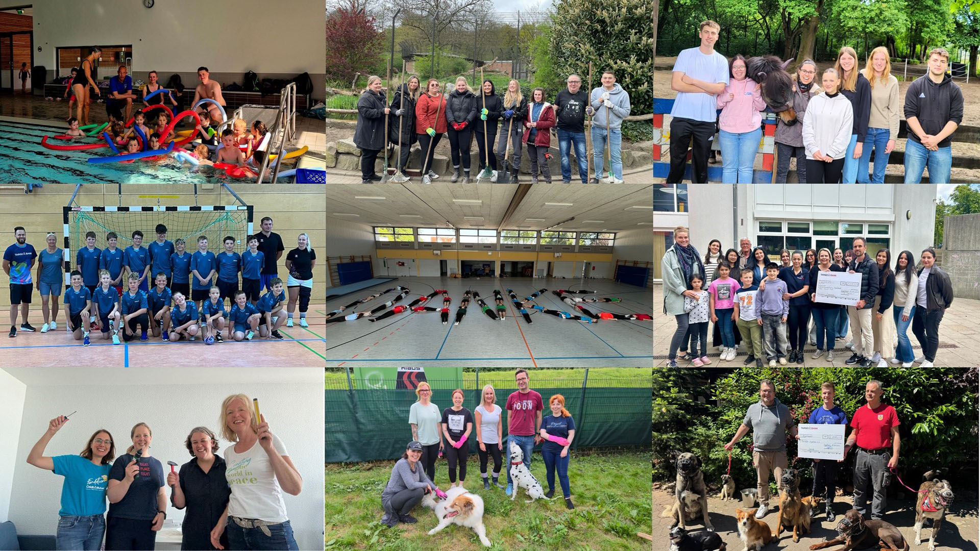 Eine Collage von Bildern, die verschiedene Aktivitäten zeigt: Schwimmtraining mit Kindern, ein Handballteam, eine Gruppe von Freiwilligen mit Werkzeugen, eine Sporthalle mit Schülern, die ein Wort bilden, und eine Gruppe, die Spenden für Tierschutzorganisationen übergibt.