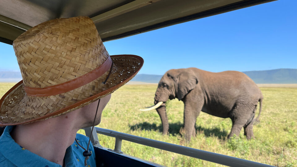 Ein Mann mit einem Strohhut und einem blauen Hemd sitzt in einem Geländewagen und blickt auf einen Elefanten in der Savanne. Der Elefant steht auf einer grünen Wiese mit einem klaren blauen Himmel im Hintergrund.