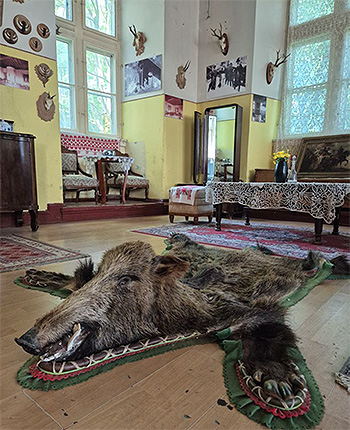 Ein Raum, der einem Wohnzimmer ähnelt mit einem Teppich aus Wild in der Mitte.