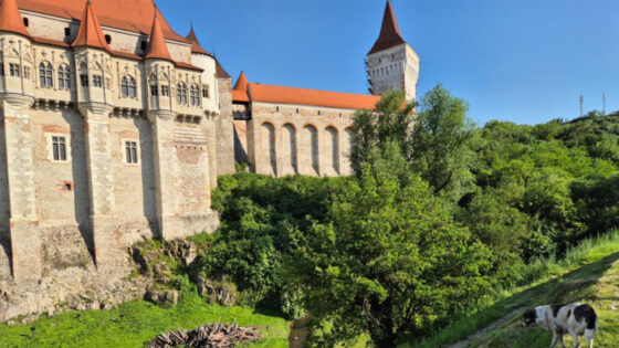 Ein Schloss umgeben von Natur.