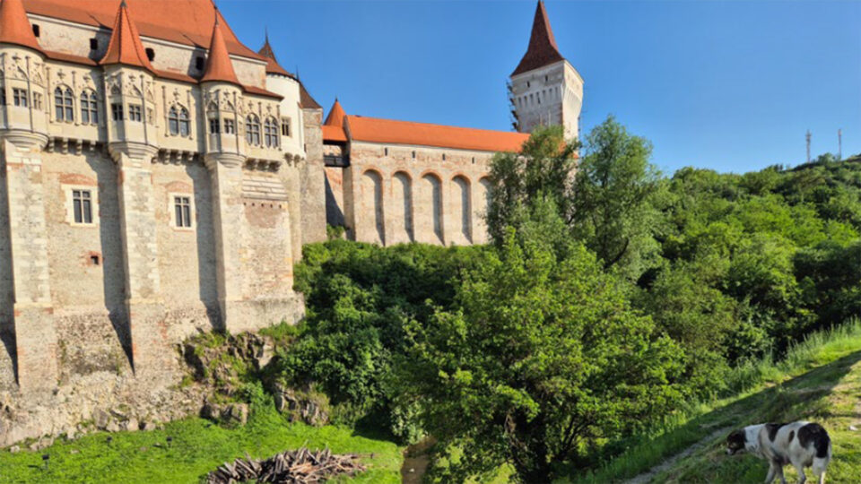 Ein Schloss umgeben von Natur.