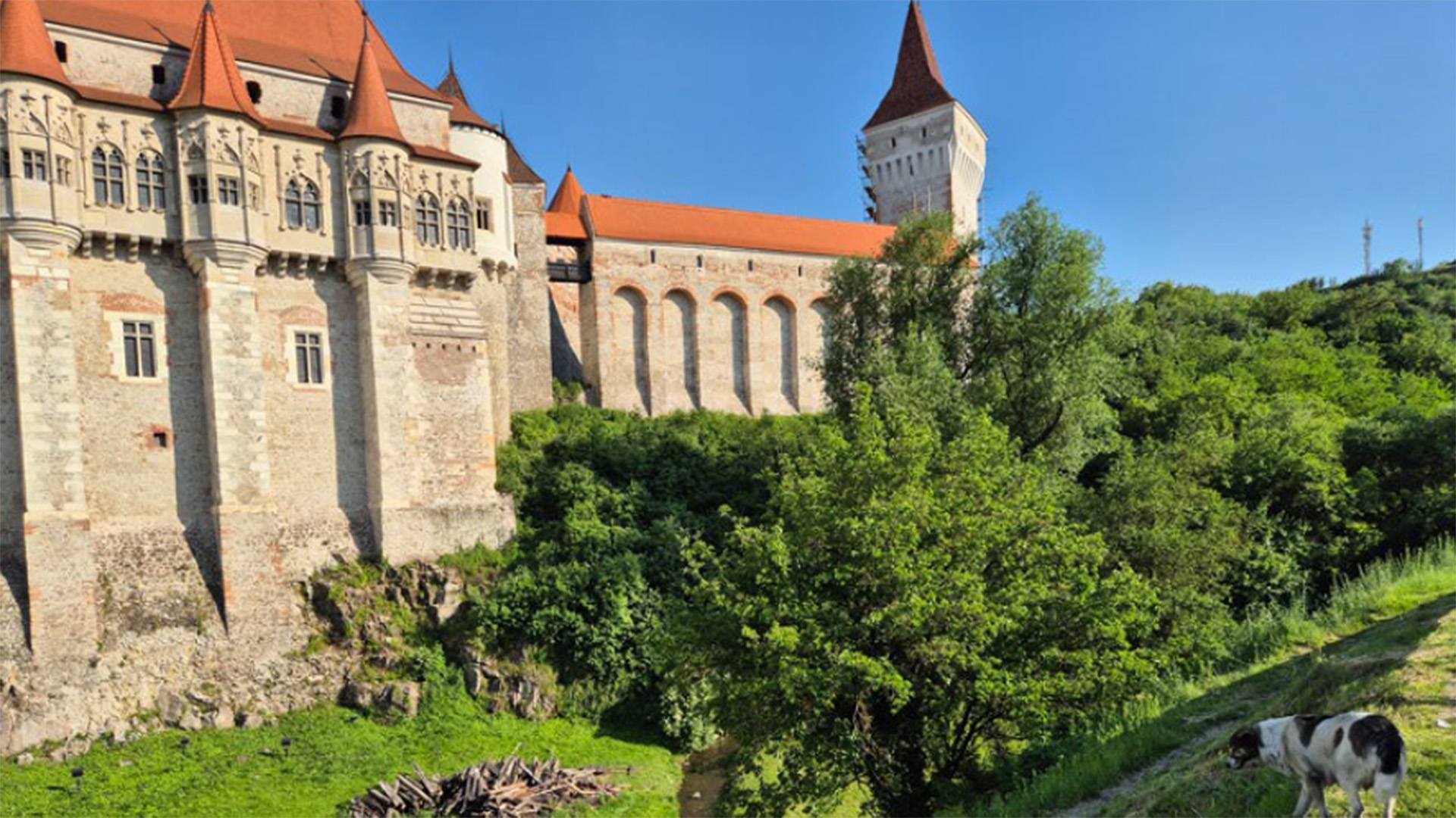 Ein Schloss umgeben von Natur.
