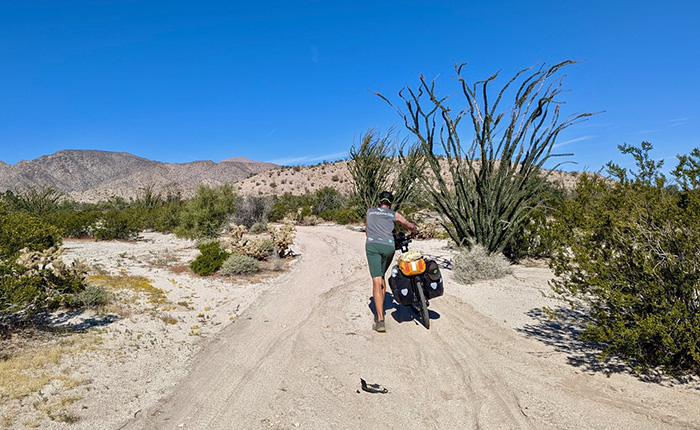Ein Radfahrer zieht sein Fahrrad auf einem sandigen Weg durch eine Wüstenlandschaft. Im Hintergrund sind Berge und hohe Pflanzen sichtbar, während der Himmel klar und blau ist.