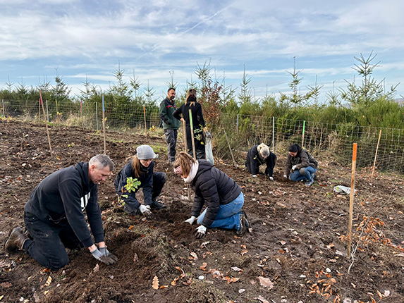 Eine Gruppe von sechs Personen pflanzt Bäume auf einem offenen Feld. Einige knien im Erdreich, während andere stehen und tragen kleine Pflanzen. Im Hintergrund sind junge Bäume und ein Zaun sichtbar.