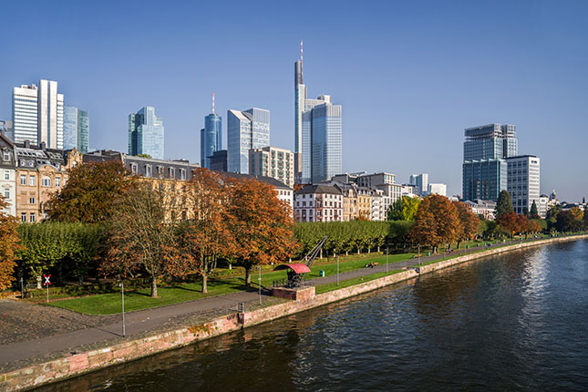 Eine Aussicht auf die Skyline von Frankfurt am Main, mit modernen Wolkenkratzern und grünen Bäumen am Ufer. Im Vordergrund fließt der Main, während die Architektur der Stadt im Hintergrund sichtbar ist. Der Himmel ist klar und blau.
