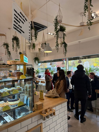Ein helles Café mit Pflanzen und moderner Einrichtung. An der Theke stehen mehrere Personen, die sich unterhalten. Im Hintergrund sind Fenster mit Blick auf die Straße und weitere Gäste.