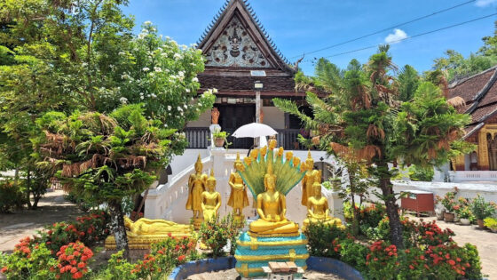 Ein buddhistischer Tempel mit einem traditionellen Dach steht im Hintergrund. Im Vordergrund befinden sich mehrere goldene Buddha-Statuen, umgeben von bunten Blumen und üppigem Grün. Eine Statue zeigt einen sitzenden Buddha mit einem großen, gefiederte Rücken. Ein Sonnenschirm schützt die Statuen. Der Himmel ist blau mit wenigen Wolken.