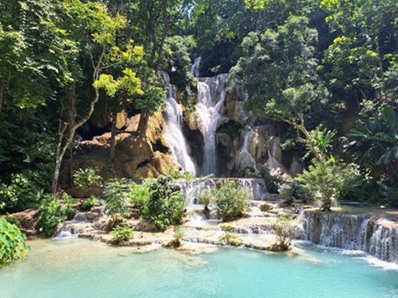 Ein malerischer Wasserfall inmitten eines üppigen, grünen Waldes. Klare, türkisfarbene Wasserbecken liegen vor dem Wasserfall, umgeben von Pflanzen und Bäumen.