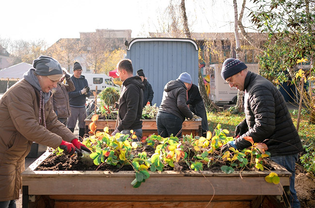 Eine Gruppe von fünf Personen arbeitet zusammen in einem Garten. Sie graben Erde in Holzkästen, die mit Pflanzen bepflanzt sind. Im Hintergrund sind weitere Personen und ein blauer Anhänger sichtbar. Es ist ein sonniger Tag im Herbst.