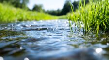 Ein klarer Bach fließt sanft durch grüne Wiesen. Die Wasseroberfläche reflektiert das Licht und zeigt sanfte Wellen. Am Ufer wachsen hohe, grüne Gräser, die im Wind wehen. Die Umgebung ist sonnig und friedlich.