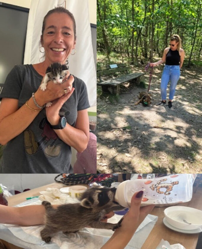 Das Bild zeigt drei Szenen: Eine Frau lächelt und hält ein kleines Kätzchen in ihren Händen. In einer anderen Szene ist eine Frau mit einem Hund auf einem Waldweg, während sie an einer Bank vorbeigeht. In der dritten Szene wird ein kleines Waschbärbaby gefüttert, während es an einer Flasche saugt, die eine bunte Zeichnung hat.