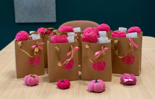 Auf einem Tisch stehen mehrere braune Papiertüten mit rosa Wolle und weißen Flaschen. Vor den Tüten liegen gehäkelte, rosa Kürbisse. Der Hintergrund ist grün.