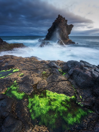 Eine dramatische Küstenlandschaft mit einer hohen Felsformation, die aus dem Wasser ragt. Im Vordergrund sind glitschige, schwarze Felsen und leuchtend grüne Algen zu sehen, während die Wellen sanft gegen die Felsen schlagen. Der Himmel ist bewölkt und vermittelt eine stimmungsvolle Atmosphäre.
