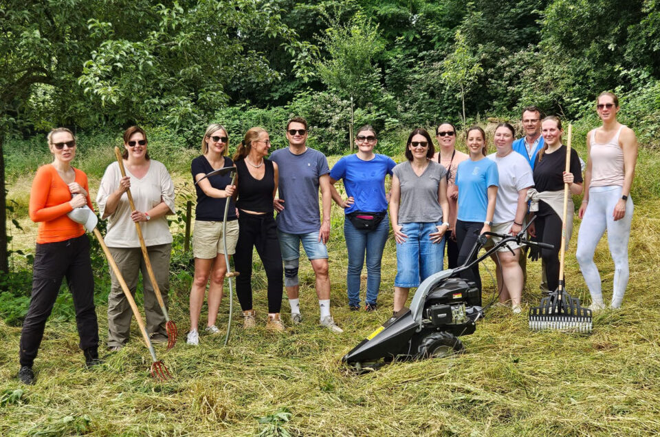 Eine Gruppe von 15 Personen steht im Freien auf einer Wiese, umgeben von Bäumen. Einige halten Werkzeuge wie Schaufeln und Rechen. Alle tragen legere Kleidung und Sonnenbrillen. Im Vordergrund steht eine motorisierte Gartenmaschine.