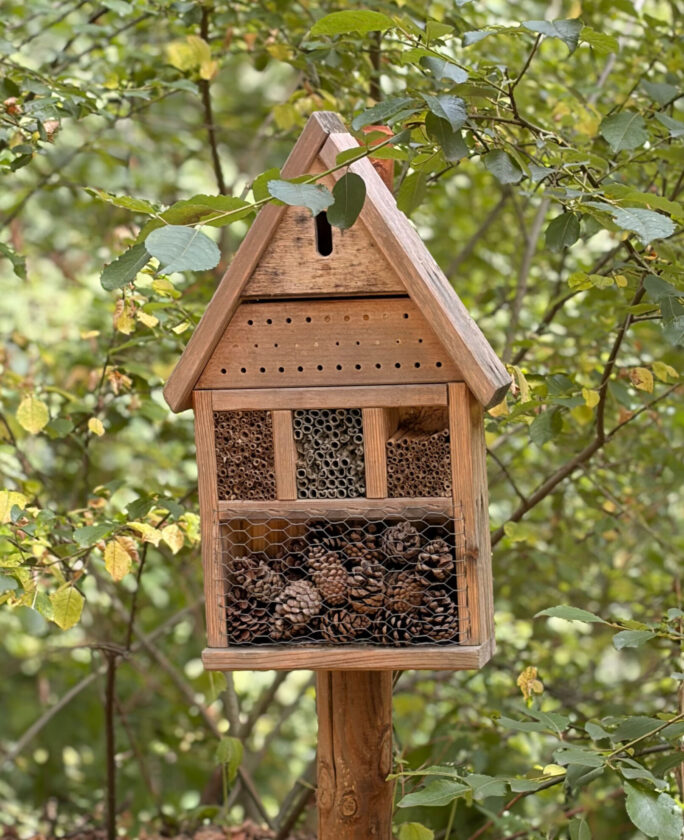 Ein Insektenhotel aus Holz mit einem spitzen Dach. Es hat kleine Löcher und Fächer, die mit Strohhalmen und Tannenzapfen gefüllt sind. Umgeben von grünen Blättern.