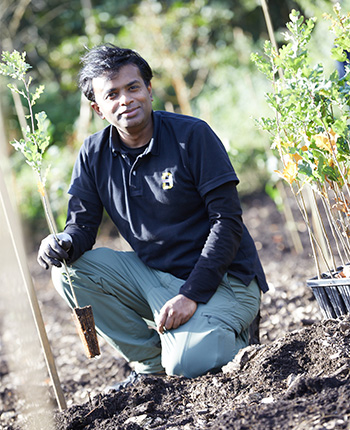 Ein Mann kniet im Garten und pflanzt einen Baum. Er trägt ein schwarzes T-Shirt und grüne Hosen. In seiner linken Hand hält er einen kleinen Baum mit Wurzeln, während er mit der rechten Hand den Boden bearbeitet. Im Hintergrund sind weitere junge Pflanzen sichtbar und die Sonne scheint.