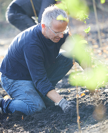 Ein Mann mit Brille kniet im Boden und pflanzt einen Baum. Er trägt einen blauen Pullover und Jeans. Im Hintergrund sind unscharfe Personen und Bäume zu sehen.