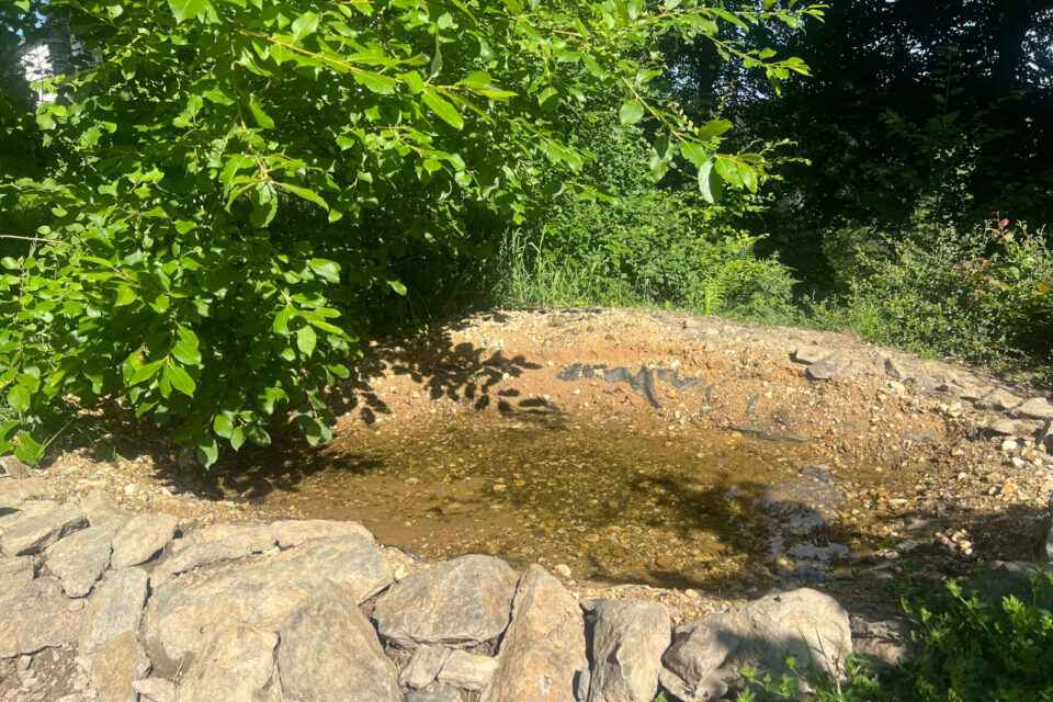 Ein flaches, mit Wasser gefülltes Becken, umgeben von Steinen und üppigem, grünem Laub. Das Becken enthält kleine Steine und hat eine unregelmäßige Form. Im Hintergrund sind weitere Pflanzen und Sträucher sichtbar.