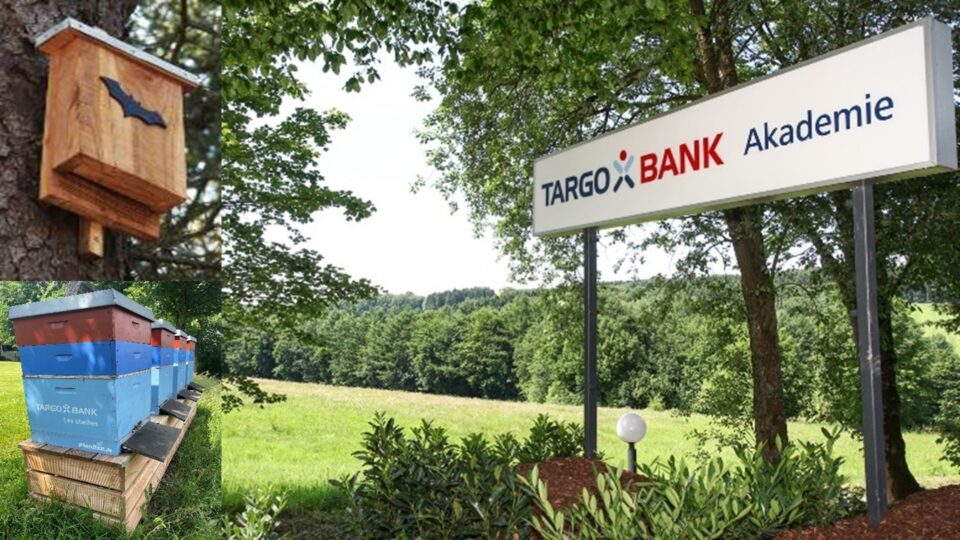 Ein Bild zeigt ein Holzhaus für Fledermäuse an einem Baum, ein Schild der TARGOBANK Akademie und mehrere Bienenstöcke in einer grünen Landschaft.